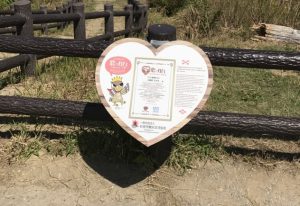 愛にあふれた写真が撮れる！「恋する灯台」ハート型看板【沖縄県石垣市 平久保崎灯台 】