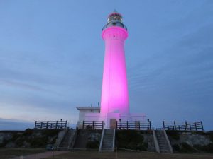 灯台の下、特産品グルメを味わう婚活イベント「恋スルGEO DINING」 【青森県東通村　尻屋埼灯台】