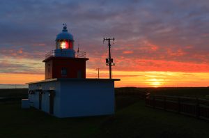グルメも花々も堪能。「恋する灯台」で映画のように愛を深める【北海道浜中町　湯沸岬灯台】