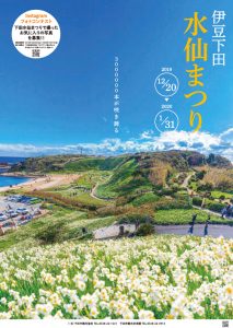 「恋する灯台」爪木埼灯台（静岡県下田市）周辺で「伊豆下田水仙まつり」開催