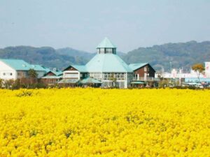 バスで行く？自転車で行く？「早春の南房総モニターツアー」【千葉県南房総市　野島埼灯台】